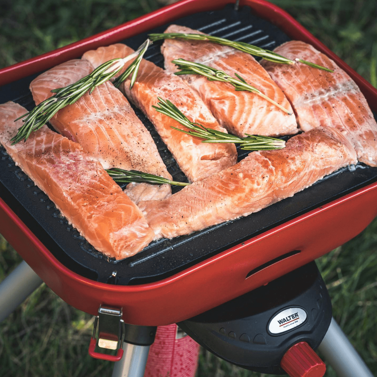 WALTER Camping- und Party-Gasgrill