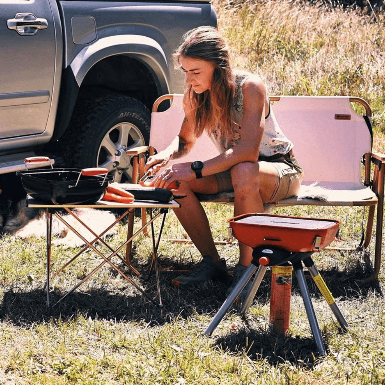 WALTER Camping- und Party-Gasgrill