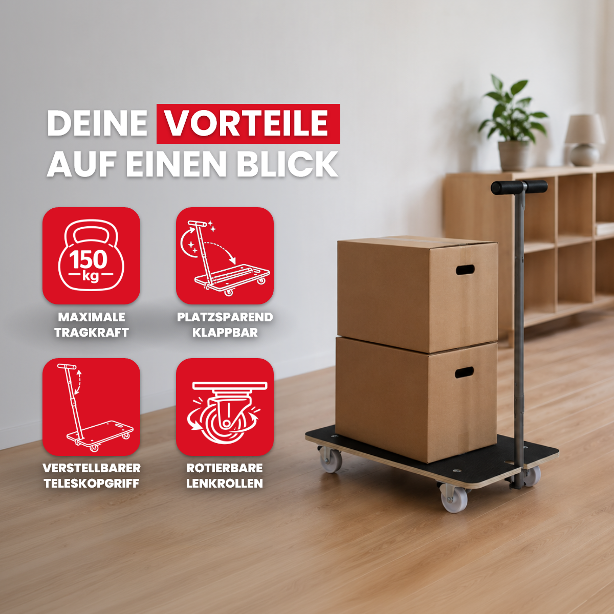 Profi Transporthilfe