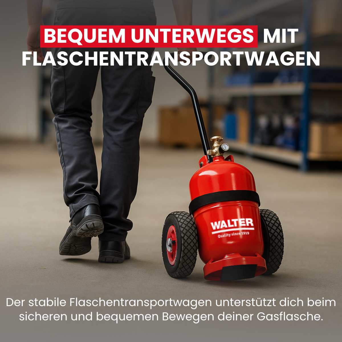 Anwärmbrenner inkl. Gasflaschen-Wagen, 5m Schlauch und Regler