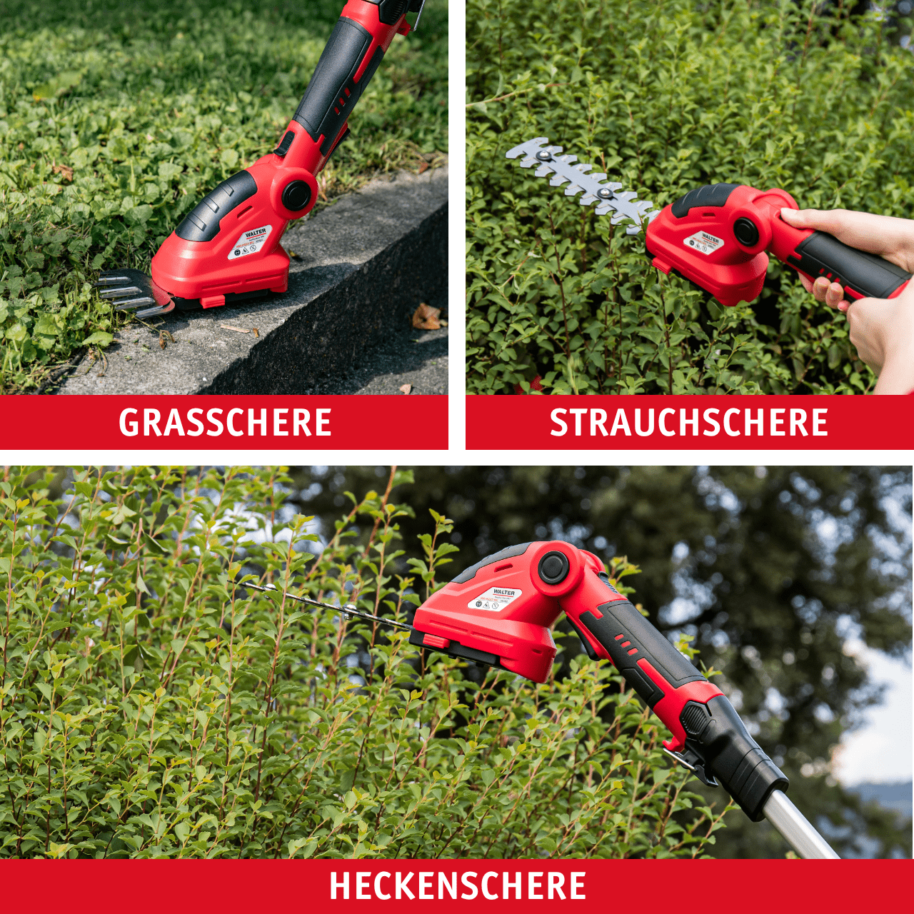 WALTER Li-Ion Akku-Heckenschere/Grasschere 12 V