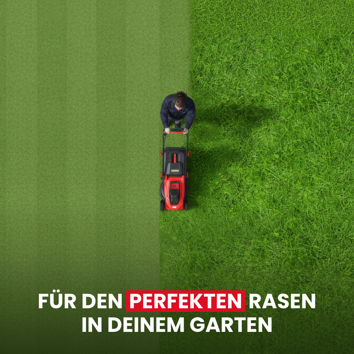 Battery-powered lawnmower with mulching function and 2 batteries