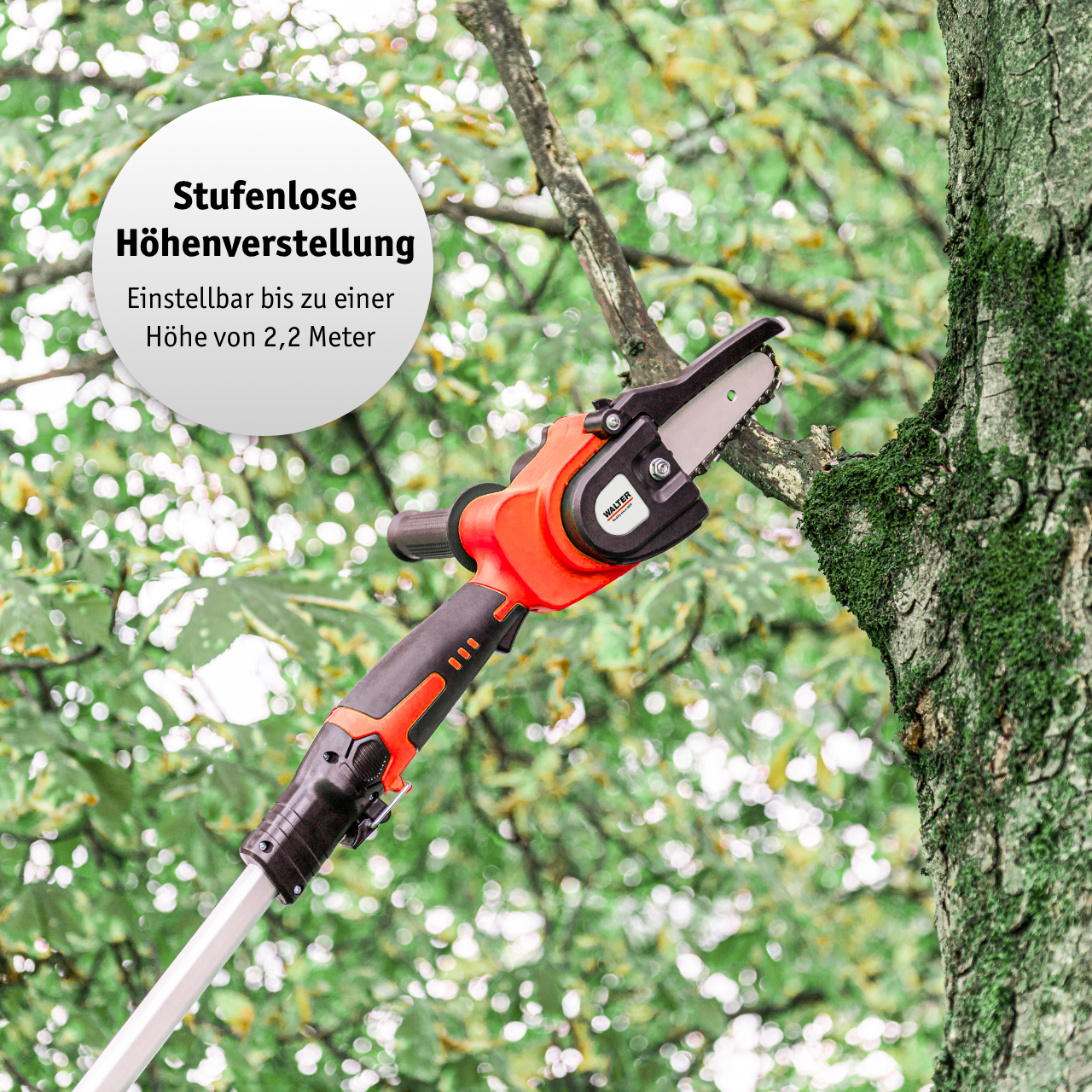 Li-Ion-Akku Hochentaster Kettensäge 12 V mit 2 Akkus