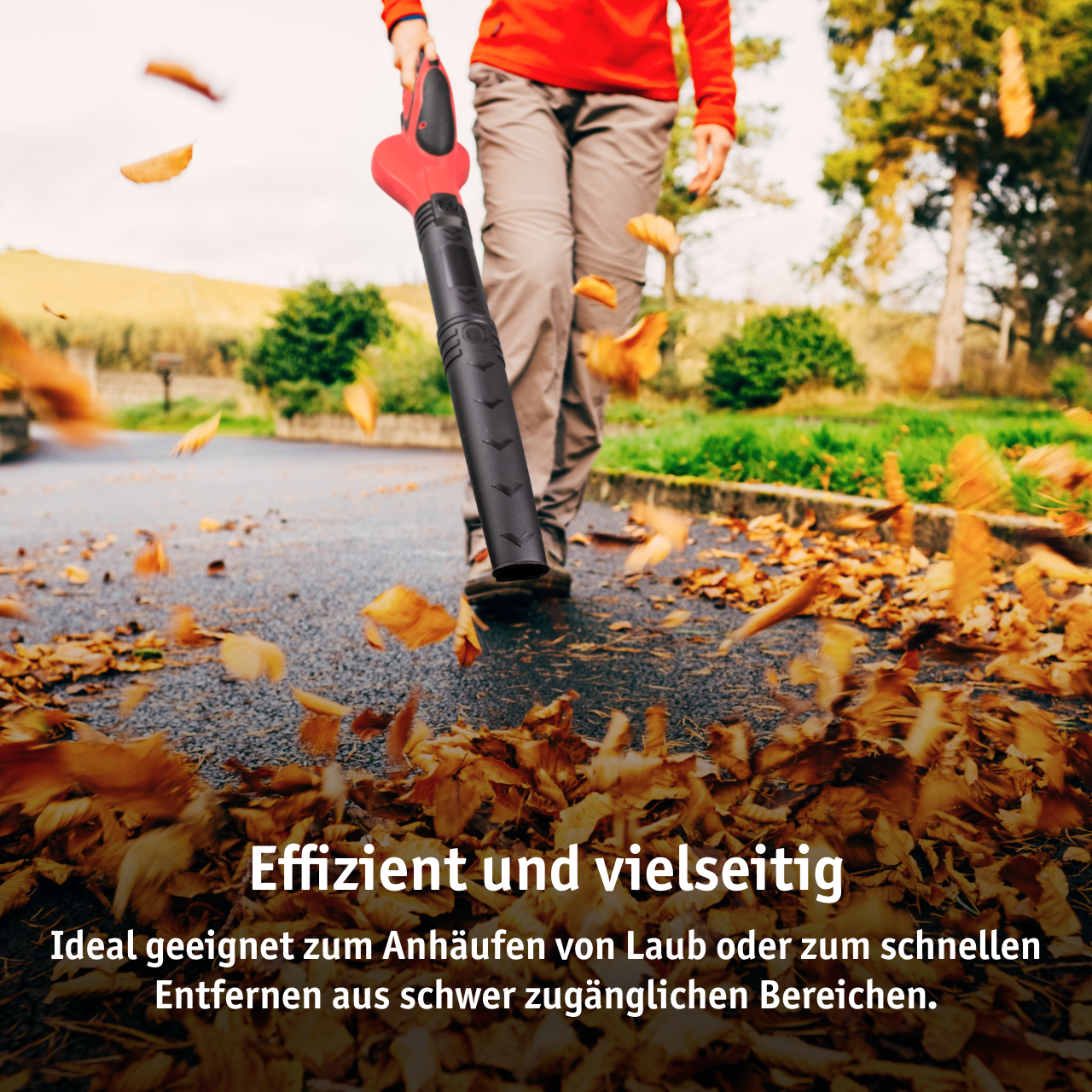 Walter Li-Ion cordless leaf blower 12 V