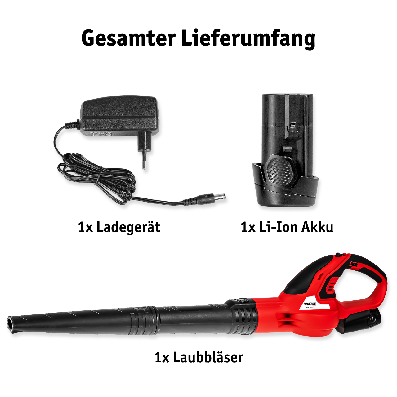 Walter Li-Ion cordless leaf blower 12 V