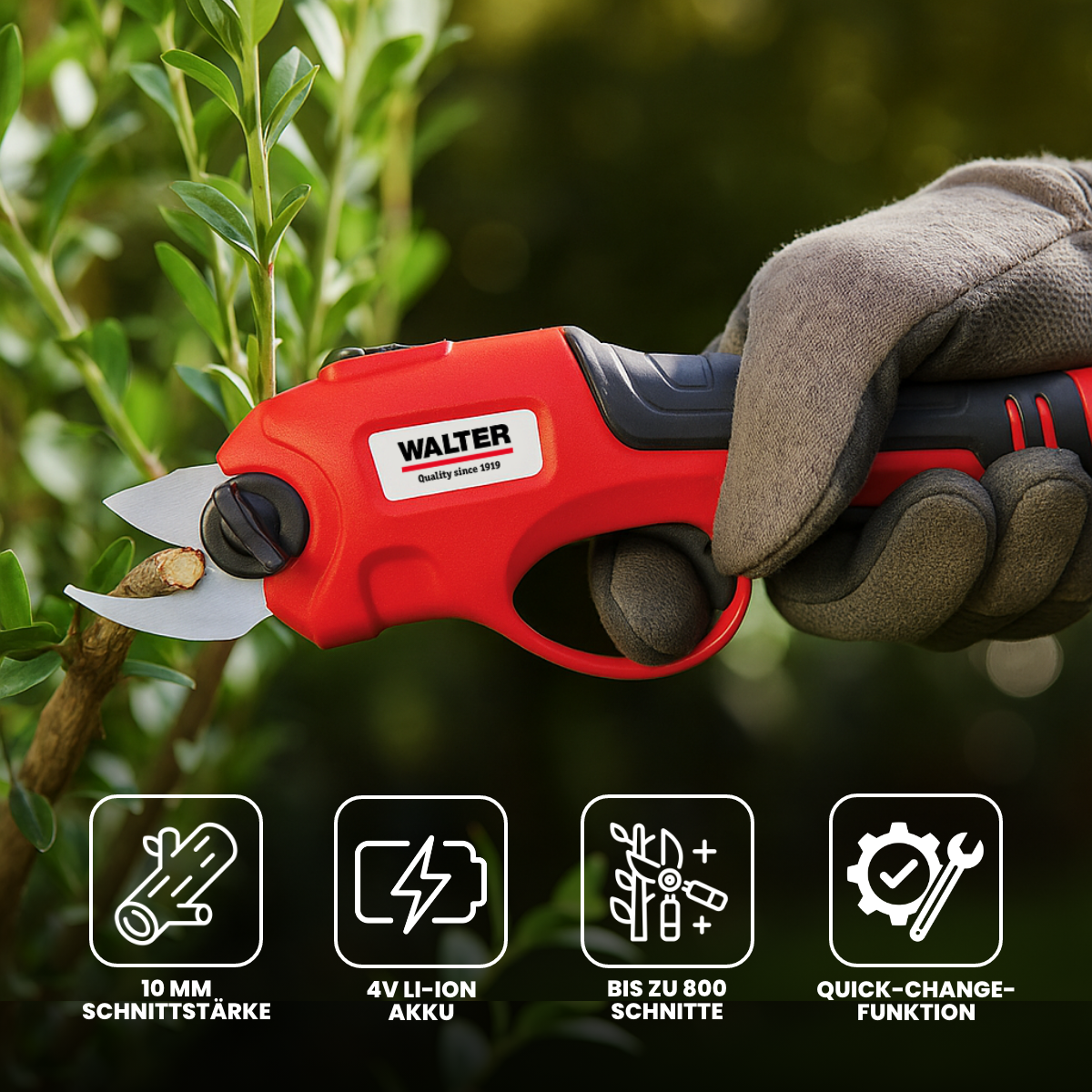 Li-Ion Akku-Astschere 4 V