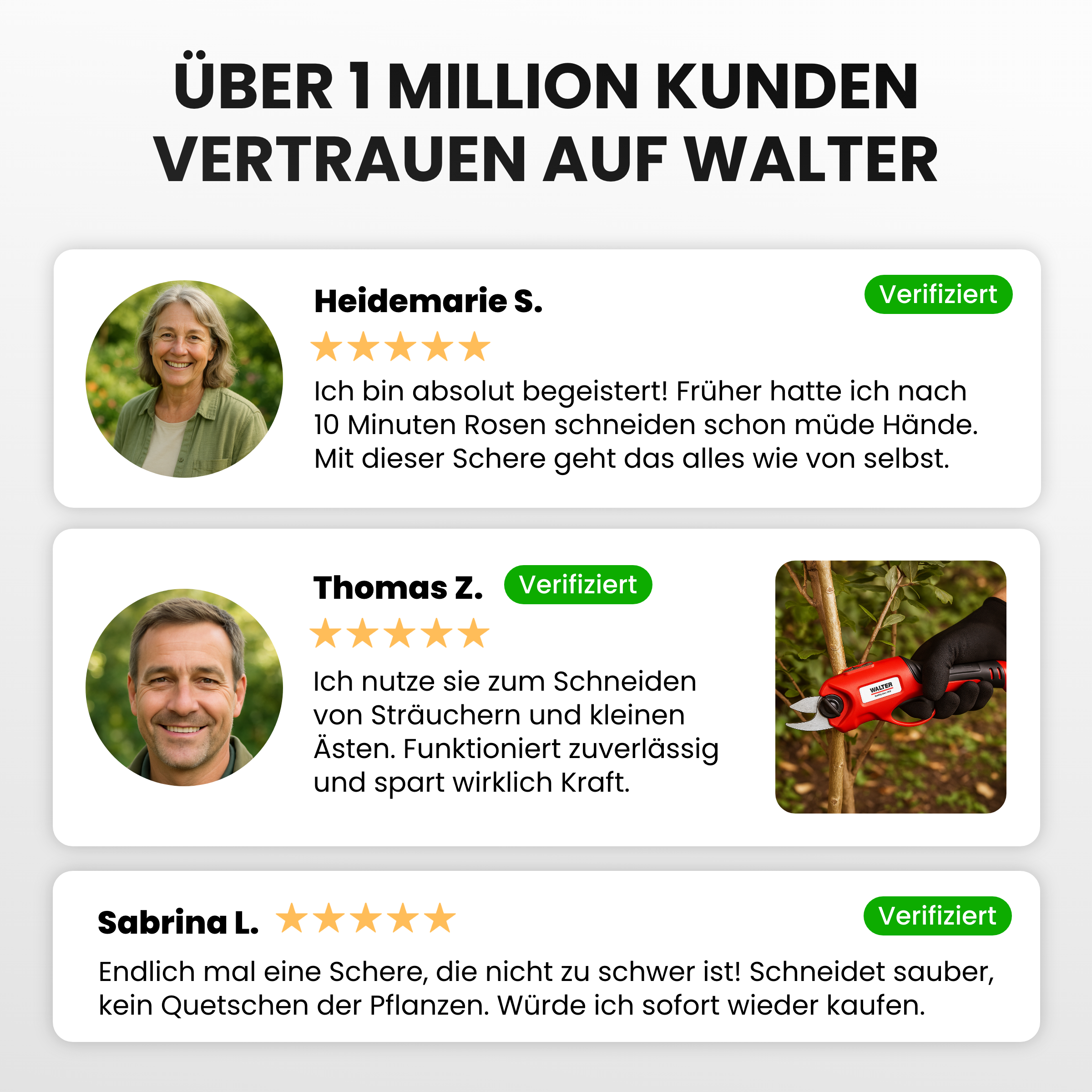 Li-Ion Akku-Astschere 4 V