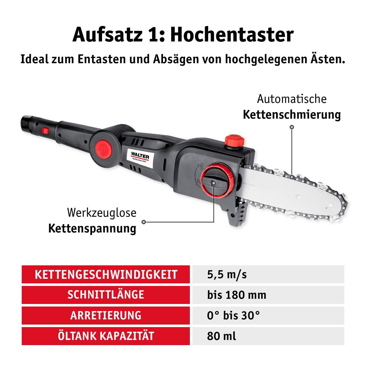 WALTER Akku-Hochentaster Heckenschere 20 V
