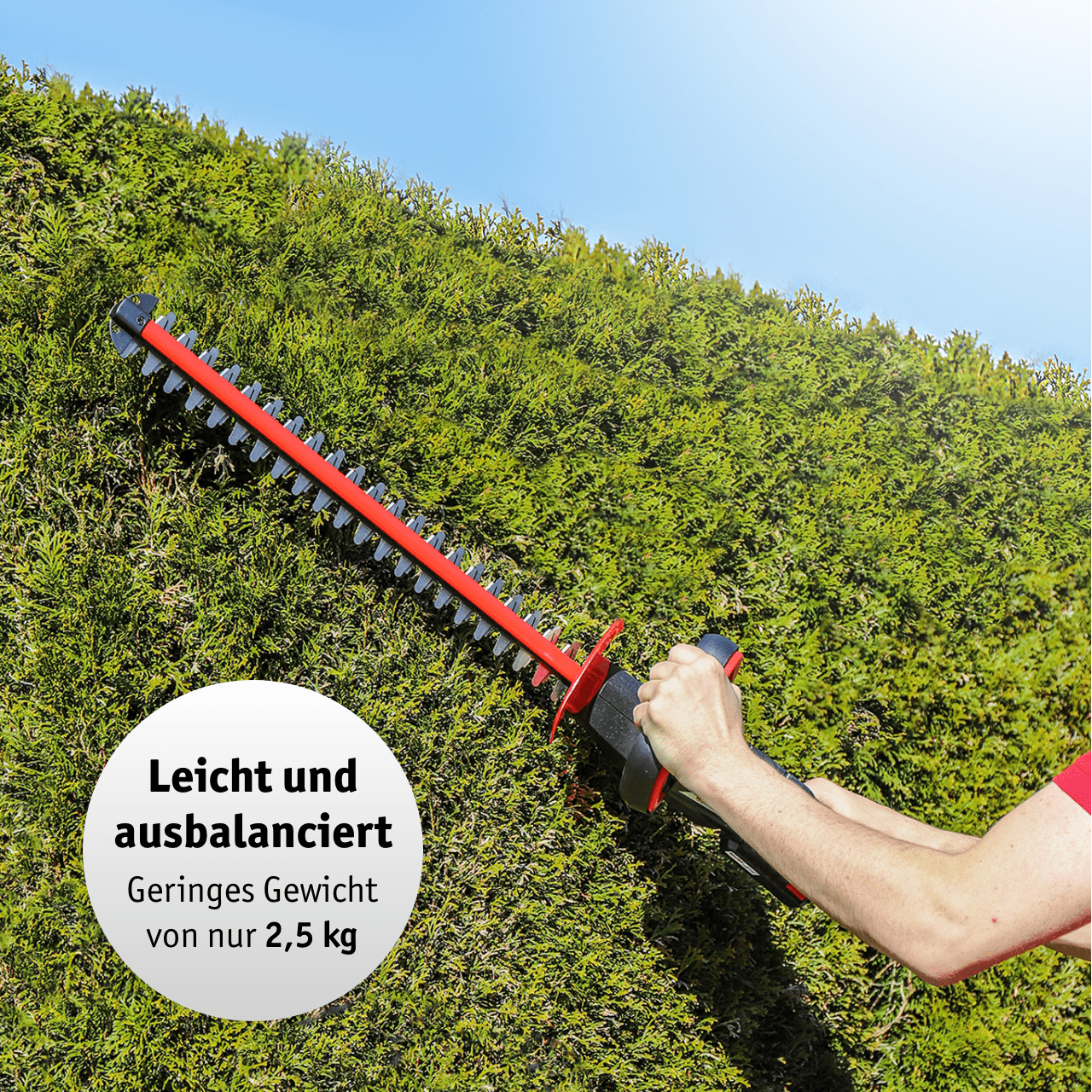 WALTER Akku-Gartengeräte-Set