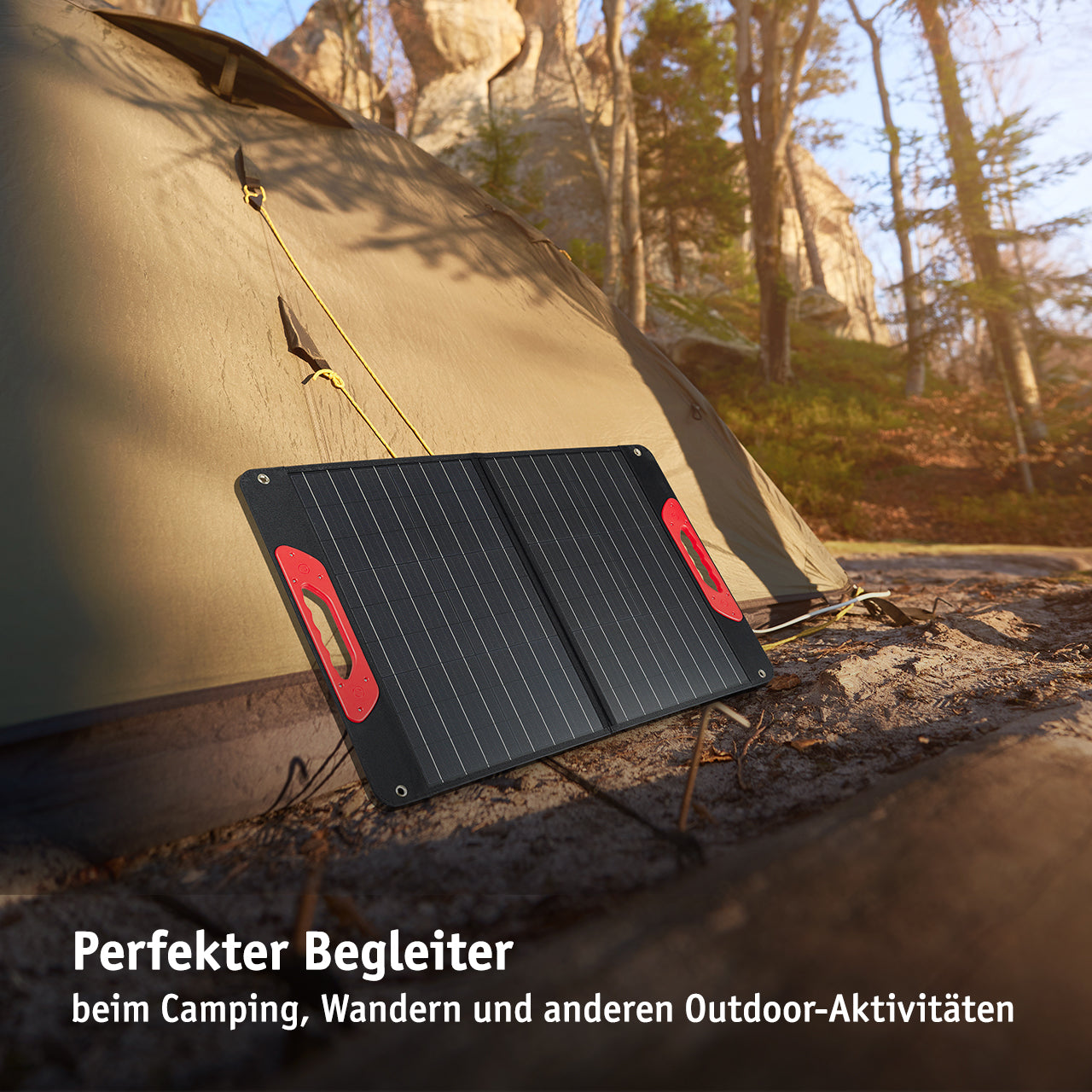 Solarpanel 60 W (faltbar)
