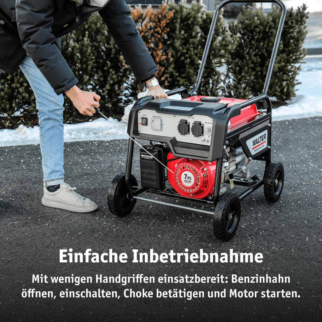 WALTER Stromerzeuger 2 600 W