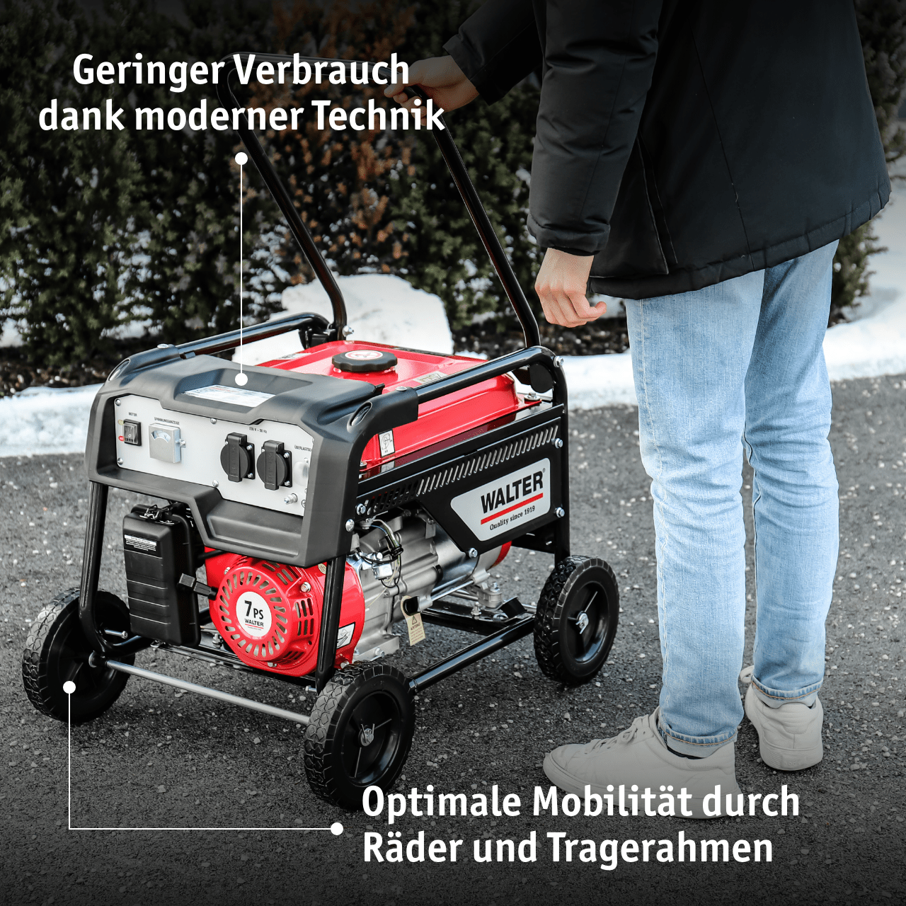 WALTER Stromerzeuger 2 600 W