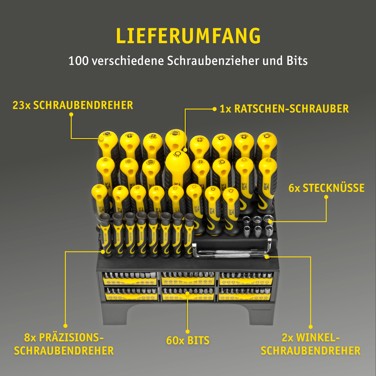 MISTER TOOL XXL-Schraubendreher- und Bitset 100-tlg.