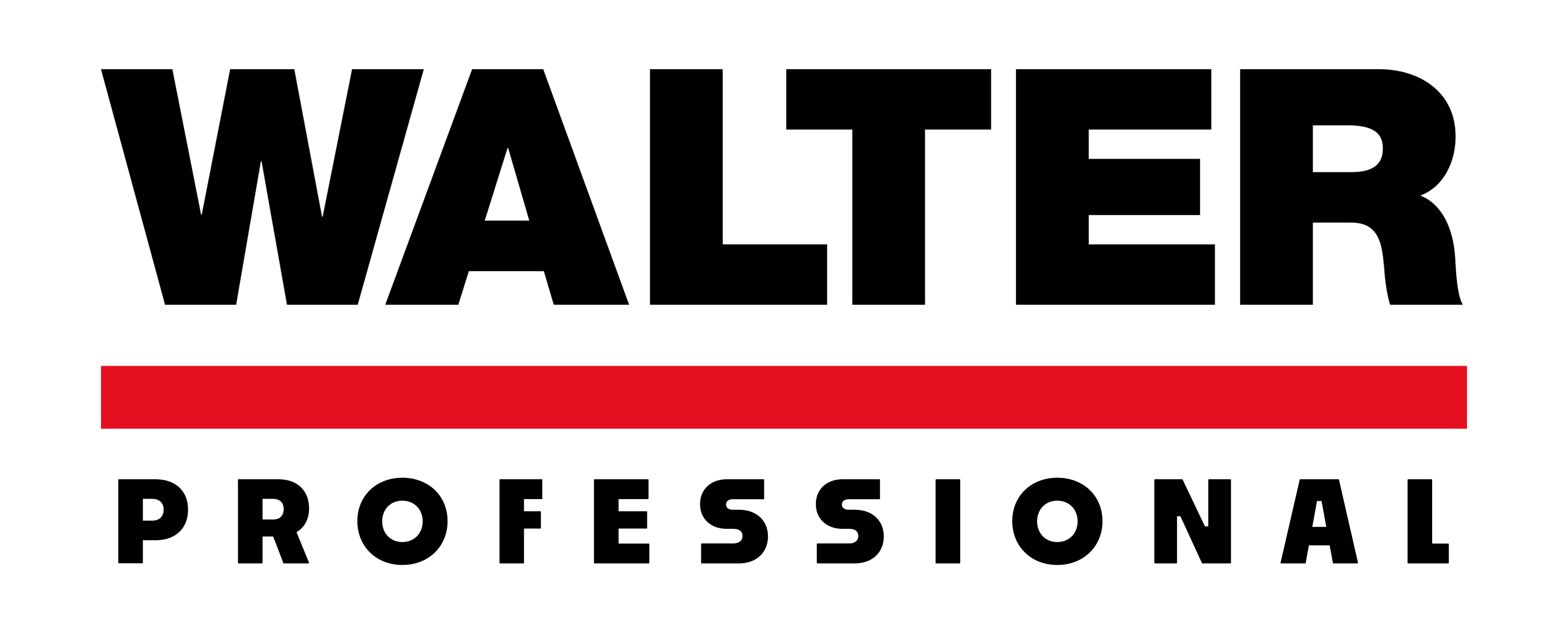 WALTER Professional logo