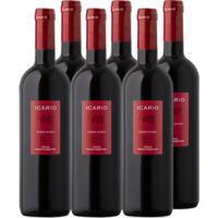 6x ICARIO Rosso Icario Toscana I.G.T. 2016 von Icario