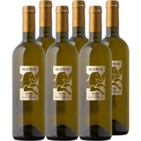 6x Nysa Bianco Toscana I.G.T. 2018