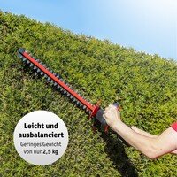 Li-Ion Akku-Heckenschere 20 V von WALTER #05