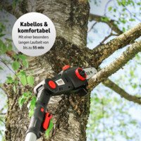 WALTER Li-Ion Battery High Pruner/Heck Trimmer 20 V #08