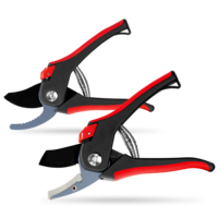 WALTER gardening shears set of 2