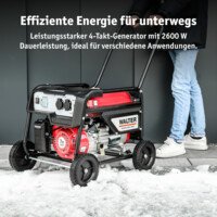 Stromerzeuger 2600 W von WALTER #11