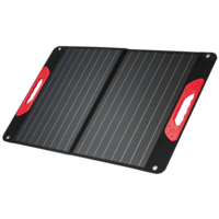 Solar Panel 60 W (foldable)