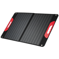 WALTER Solar Panel 60 W (foldable)