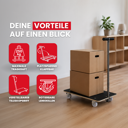 Profi Transporthilfe