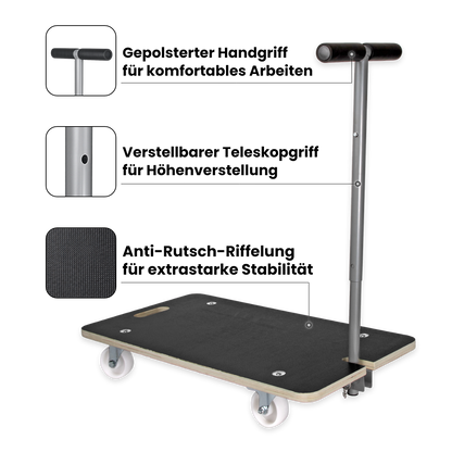 Profi Transporthilfe
