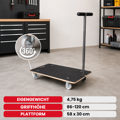 Profi Transporthilfe