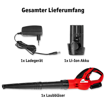 Walter Li-Ion cordless leaf blower 12 V