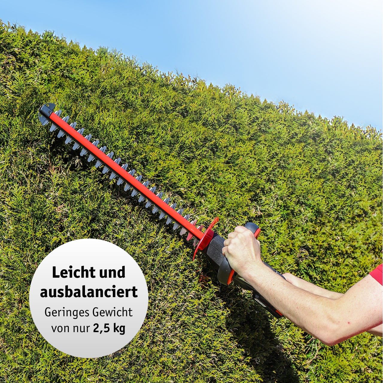 WALTER Akku-Heckenschere 20 V