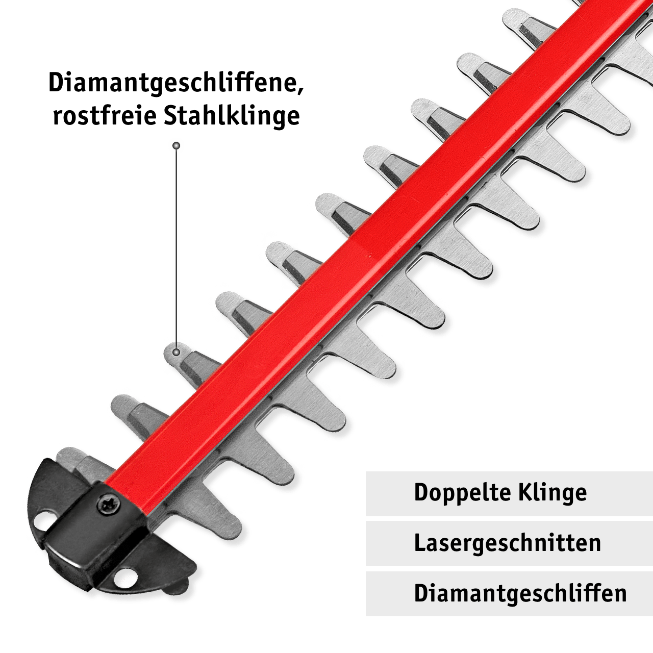 WALTER Akku-Heckenschere 20 V