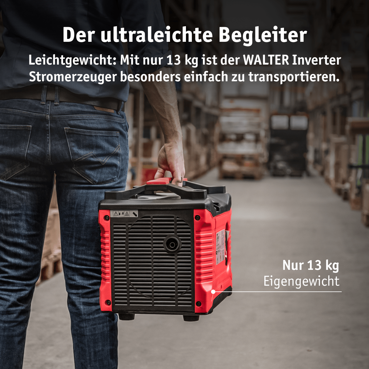 WALTER Inverter Stromerzeuger 1000 W